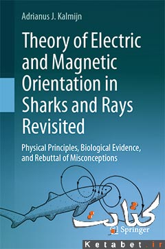 Theory of Electric and Magnetic Orientation in Sharks and Rays Revisited